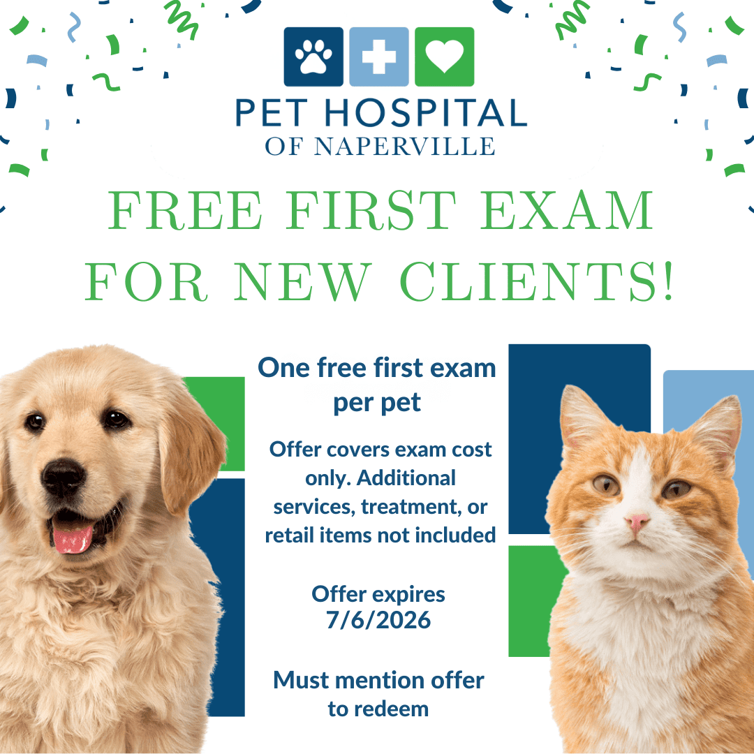 Naperville First Free Exam (1)
