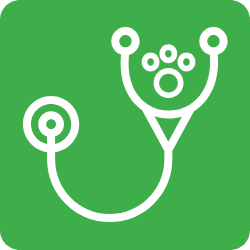 drawing of stethoscope with a paw print on it in a green square