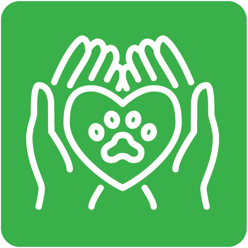 drawing of two hands holding a heart with a paw print on it in a green square