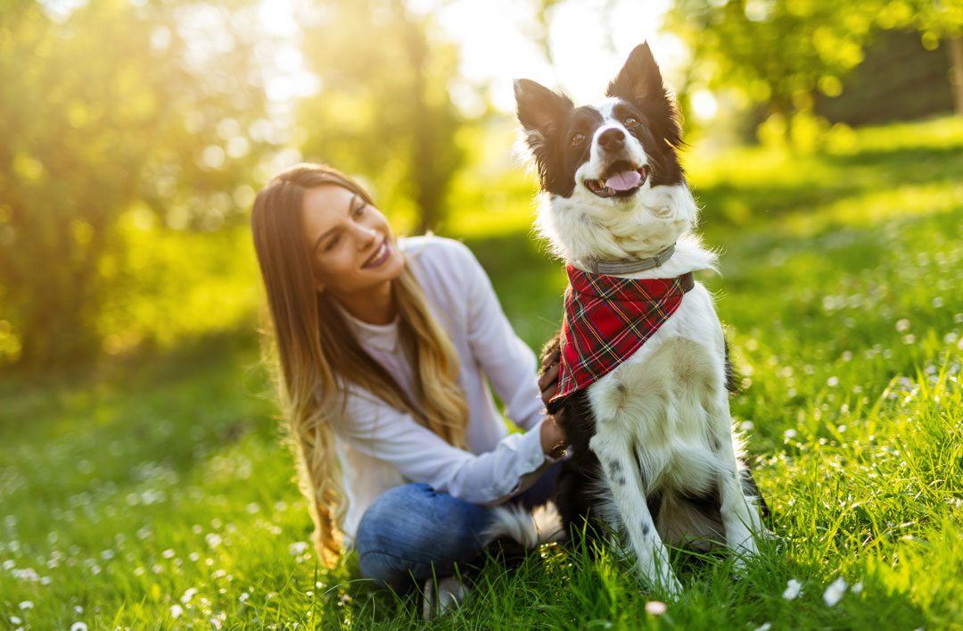 smiling young woman sitting in the grass with her dog